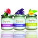 Floral Fascinate Set - Soy Candles 190g